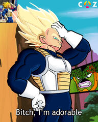 Super Vegeta (TFS)